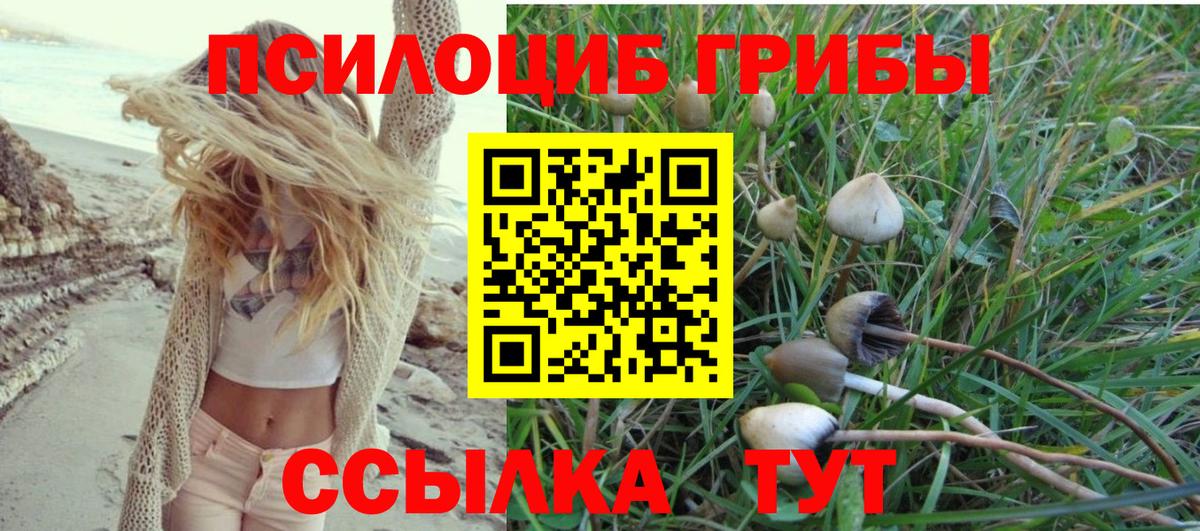 купить наркотик  Галлюциногенные грибы прущие грибы  Вход с VPN  Котовск 