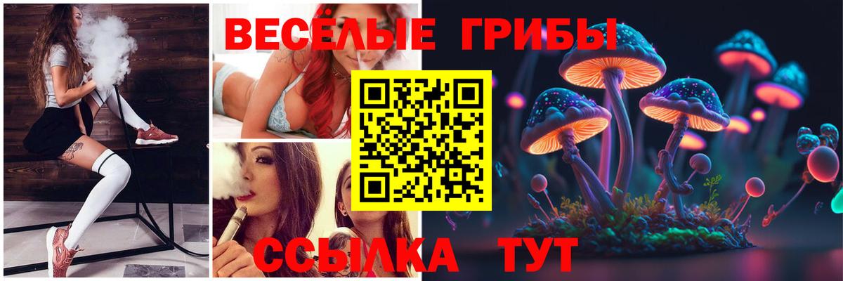 Псилоцибиновые грибы мухоморы Котовск