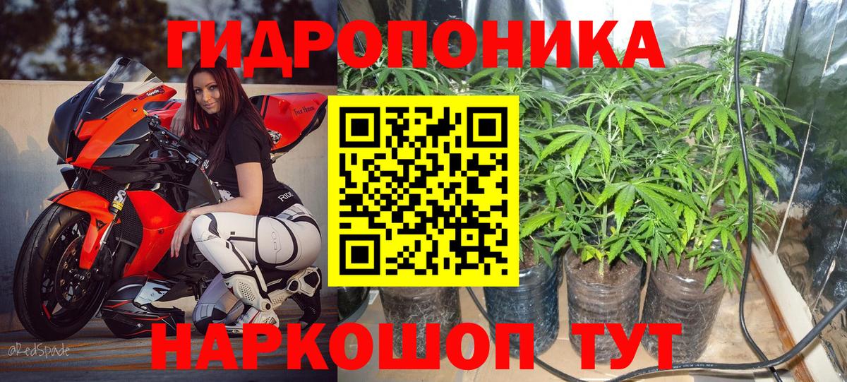 Бошки Шишки планчик  Канабис планчик  Бошки марихуана сатива  Вход с VPN  Котовск 